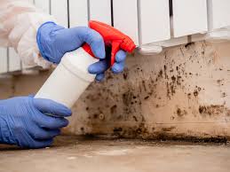 Best Mold Remediation for Healthcare Facilities  in Fairfax, IA